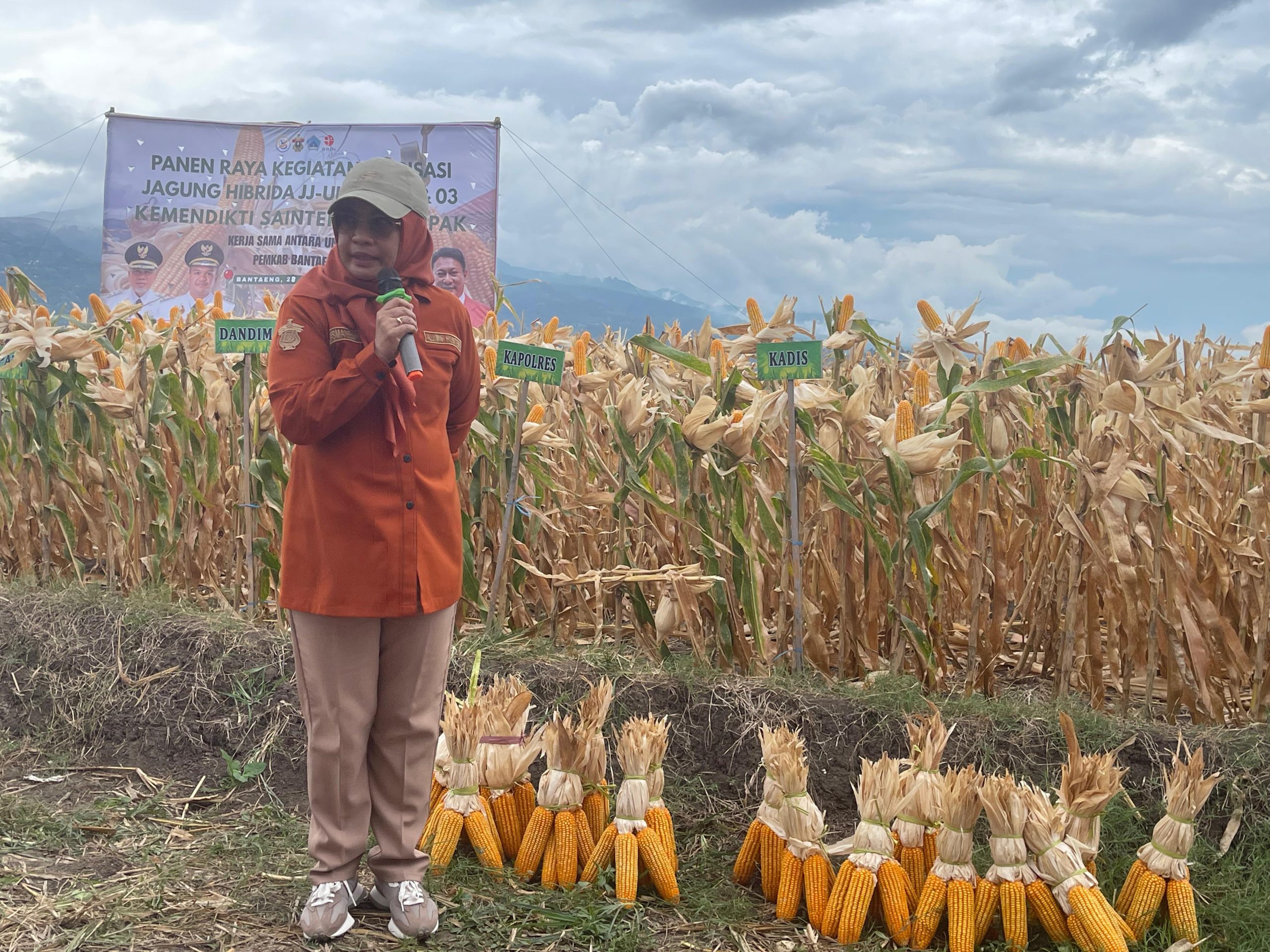 WhatsApp Image 2026-01-28 at 17.59.06 (1)