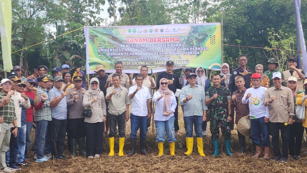 Dekan Fakultas Pertanian Unhas Mewakili Rektor Hadiri Kegiatan Tanam Bersama Benih Jagung Hibrida JJUH 01 di Desa Galung, Barru